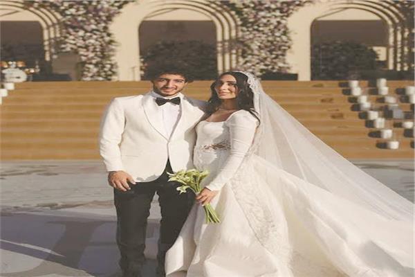 محمد هانى