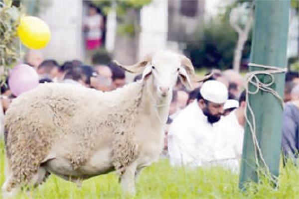 صورة موضوعية