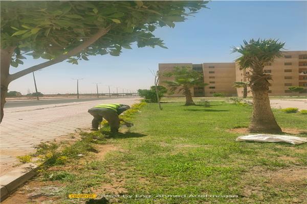 صورة موضوعية -مساحات خضراء