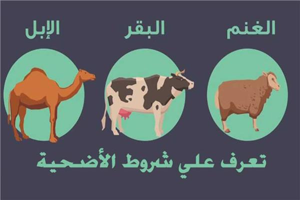 صورة موضوعية