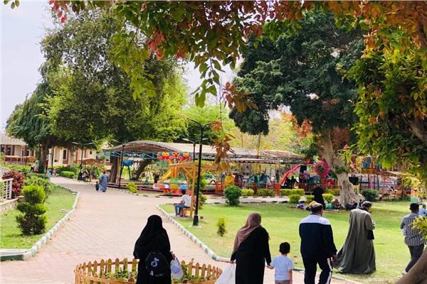 صورة موضوعية