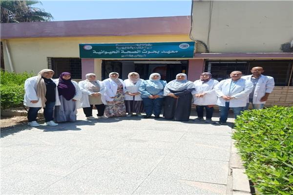 صورة موضوعية