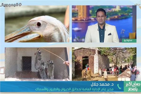 صورة من البرنامج