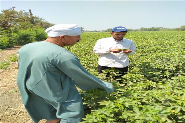 صورة موضوعية