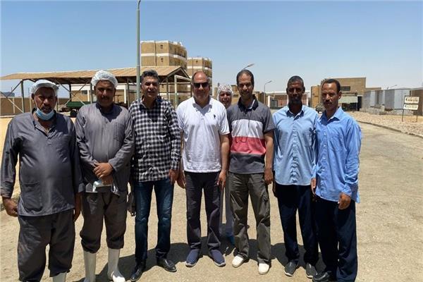 صورة موضوعية
