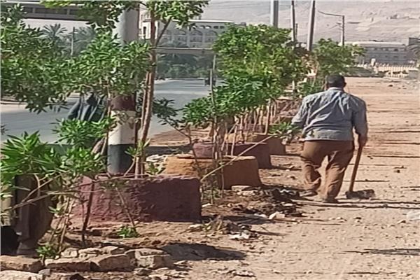 مبادرة زراعة 100 مليون شجرة