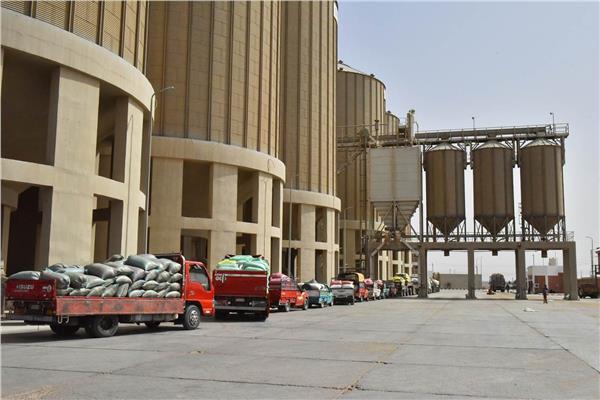 توريد القمح بالشون والصوامع