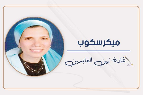 غادة زين العابدين