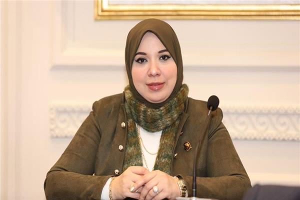 الدكتورة دينا هلالي عضو مجلس الشيوخ