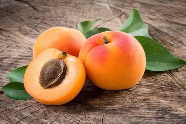 المشمش