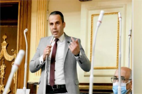 النائب محمد رضا البنا عضو لجنة حقوق الإنسان بمجلس النواب