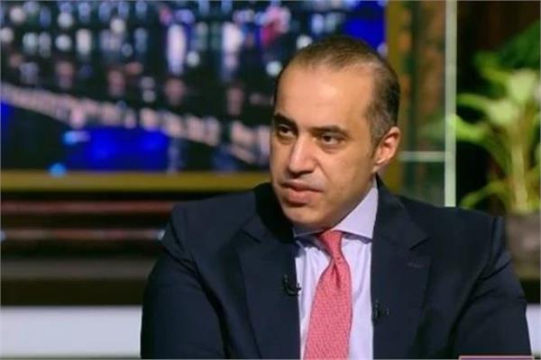  المستشار محمود فوزي