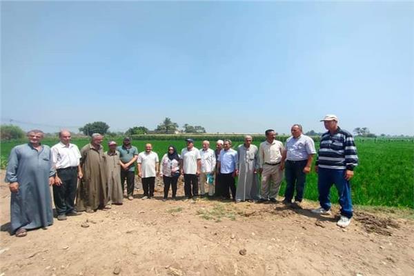 صورة موضوعية
