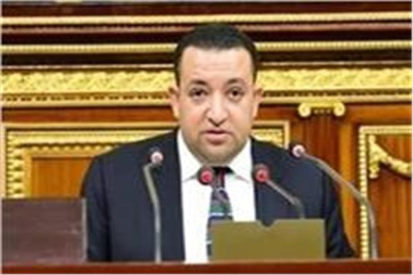  النائب  تامر عبد القادر 