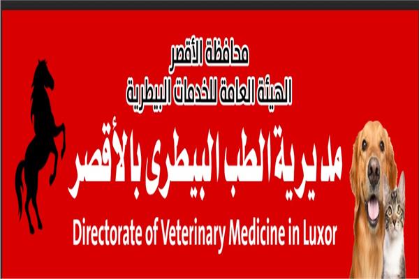 حملة القومية الثانية لعام ٢٠٢٤ 