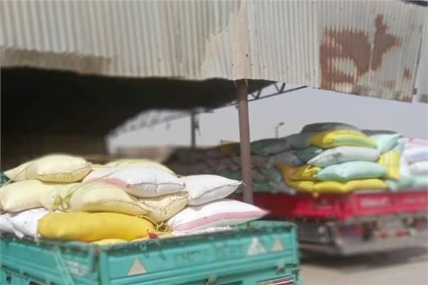 جانب من عمليات توريد القمح 