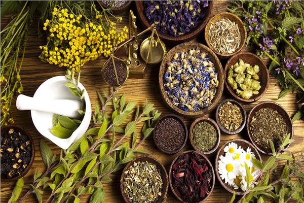  البردقوش لنسف منطقة البطن