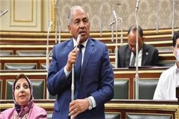 النائب اللواء أحمد العوضى