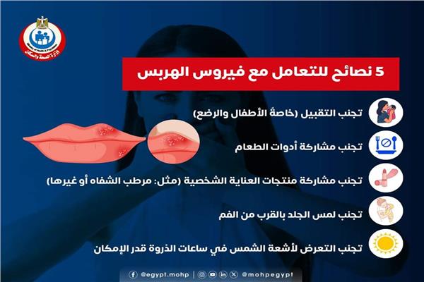 موضوعية