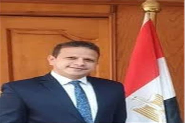 الدكتور رامى غالى رئيس لجنة رجال الأعمال 