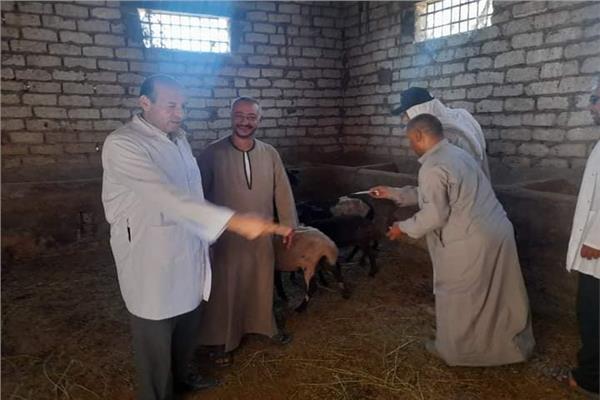 جانب من الحملة