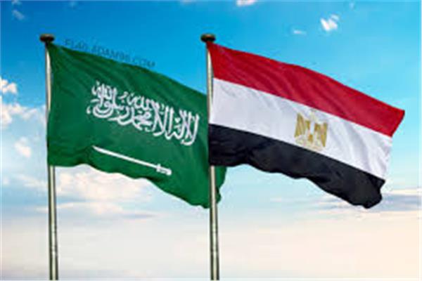 علما مصر والسعودية