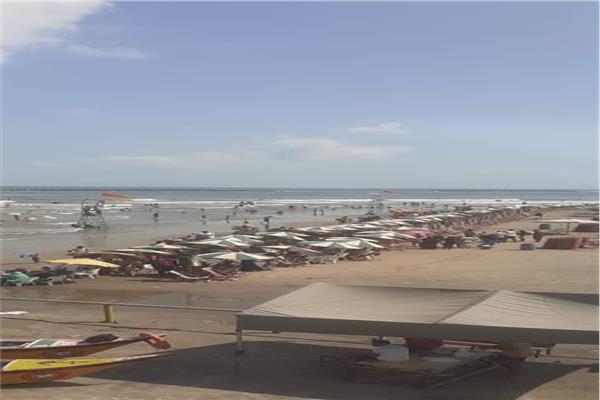 موضوعية