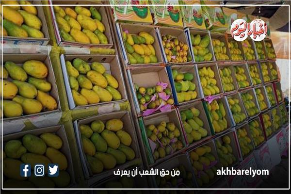 المانجو 