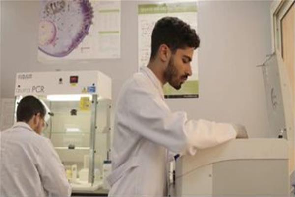 صورة موضوعية