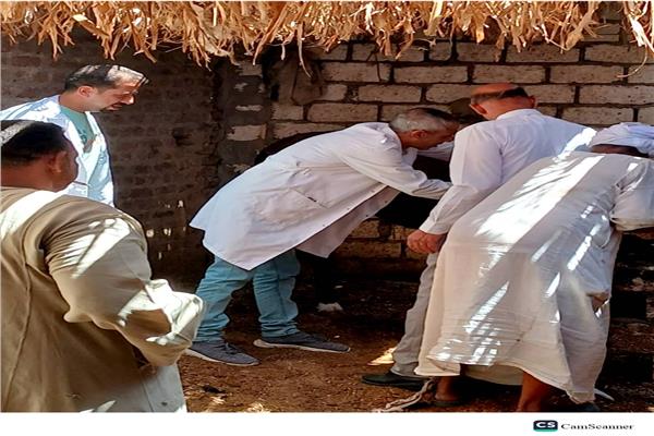 جانب من الحملات البيطرية