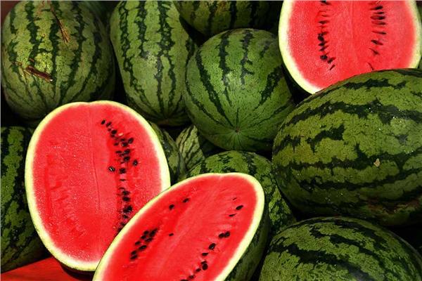 اليوم العالمى للبطيخ 