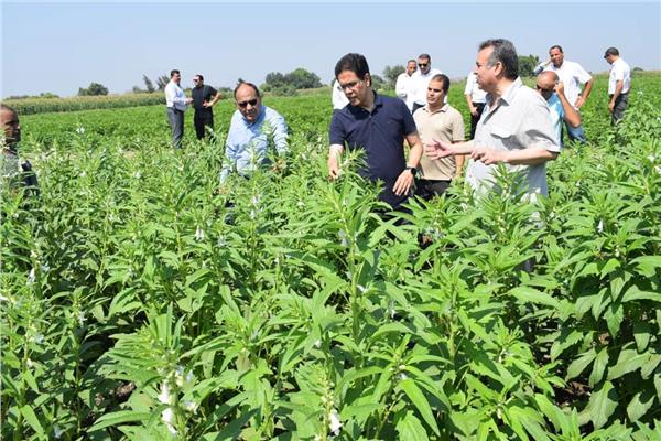  دورات الإرشاد الأكاديمي والنفسي  لأعضاء هيئة التدريس بجامعة بنها 