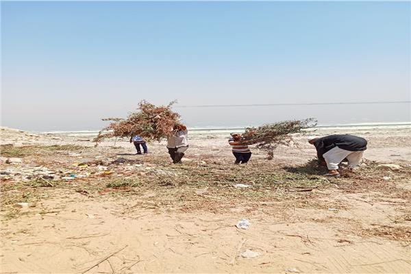  رفع مخلفات صلبة من شاطئ بحيرة قارون