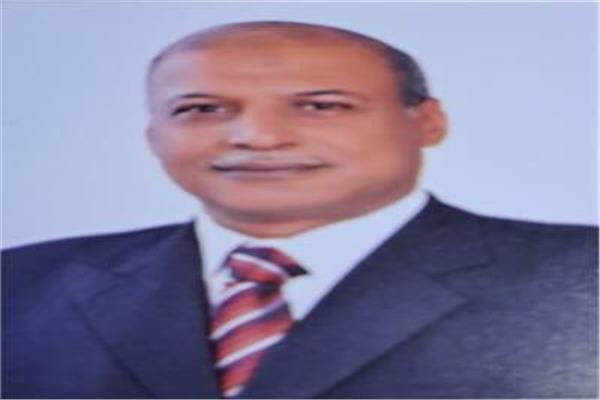سعيد إبراهيم رمضان، أمين تنظيم أمانة قسم المنيرة الغربية بحزب مستقبل وطن
