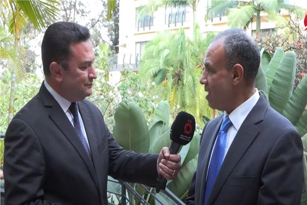 بدر عبدالعاطي، وزير الخارجية المصري