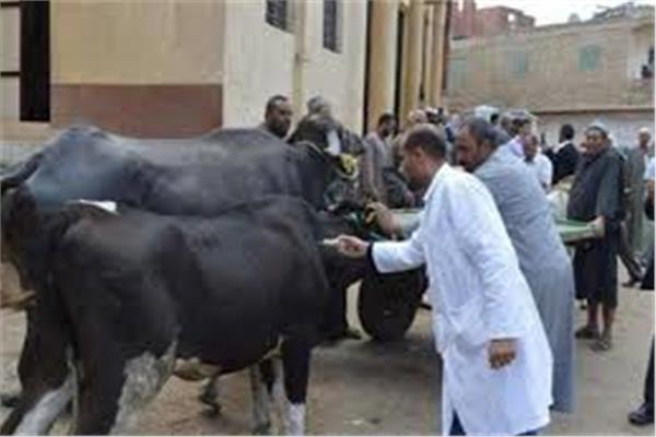 جانب من الحملات البيطرية