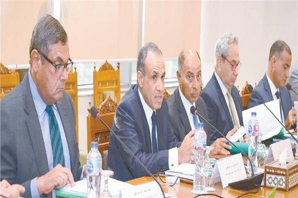 وزير الخارجية خلال اجتماعه مع مجلس إدارة الوكالة المصرية للشراكة من أجل التنمية