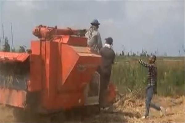 ماكينة حصاد الأرز 