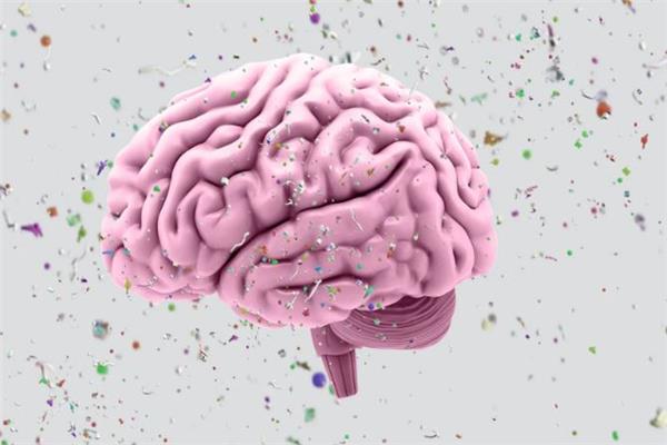 دراسة حديثة تحذر من تأثير البلاستيك على أدمغتنا 