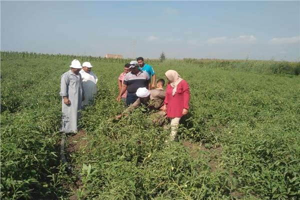 صورة موضوعية