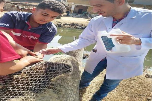  إجراء الكشف البيطري
