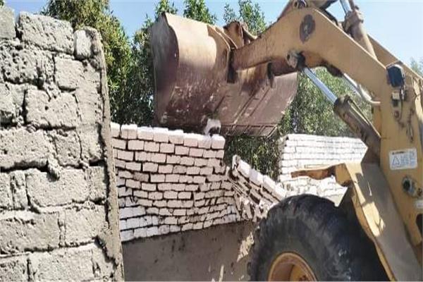 صورة موضوعية