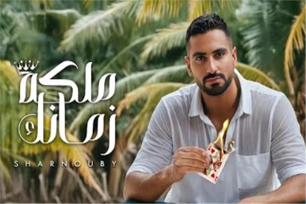  الفنان محمد الشرنوبي