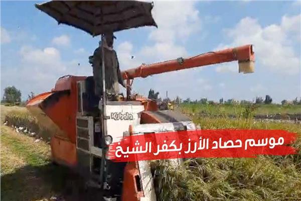 صورة موضوعية