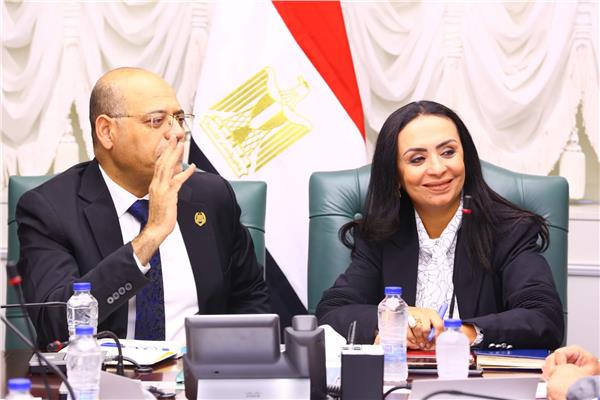 وزيرا التضامن الاجتماعي والعمل