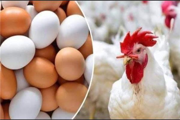موضوعية