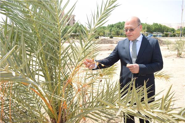 الدكتور حسان النعماني، رئيس الجامعة خلال الجولة