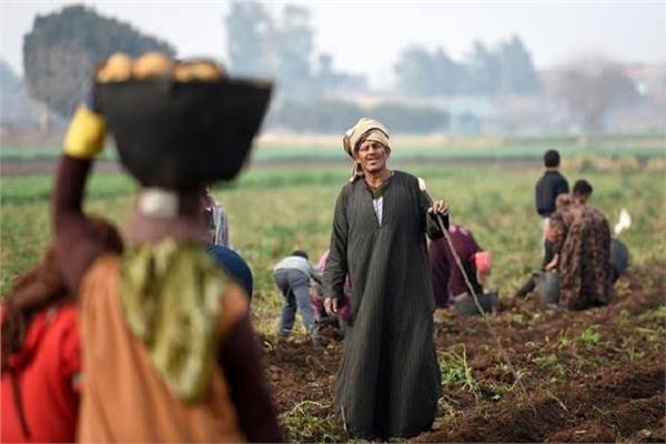 الفلاح المصري