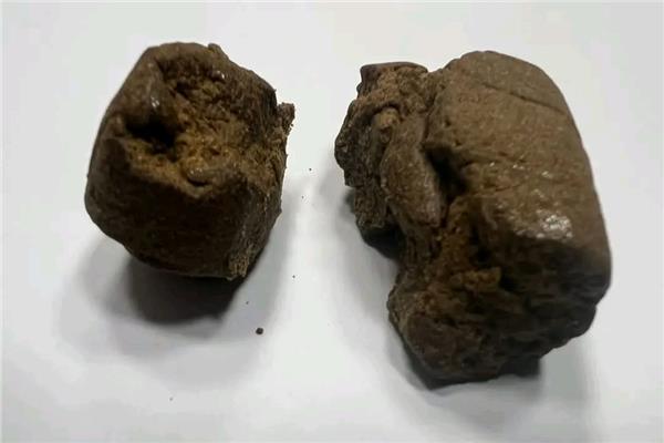 الحشيش المخدر المضبوط