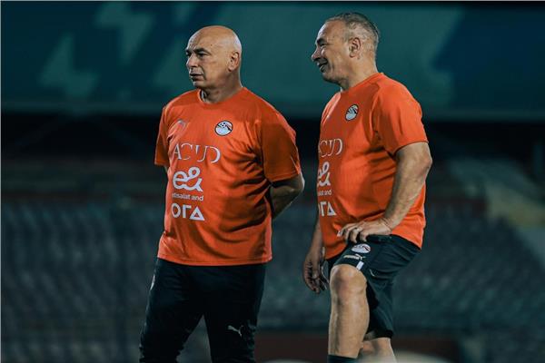 حسام حسن وإبراهيم حسن